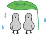 ハト